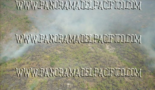 250-hectareas-quemadas-hasta-el-momento-en-candelaria-loxicha-oaxaca 250-hectareas-quemadas-hasta-el-momento-en-candelaria-loxicha-oaxaca