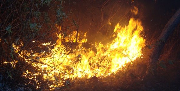 este-miercoles-por-la-tarde-terminaron-el-incendio-de-candelaria-loxicha