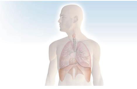 influenza