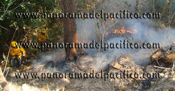 sigue-el-incendio-en-candelaria-loxicha-oaxaca