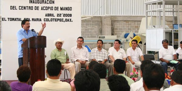 uro-acopio-de-mango uro-acopio-de-mango
