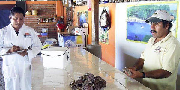 levantan-sso-veda-sanitaria-en-la-costa-de-oaxaca