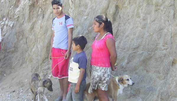 vacuna-a-los-perros-por-la-rabia