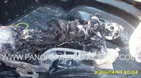 cuerpo-calcinado-del-dr-gildardo-genaro-ordaz cuerpo-calcinado-del-dr-gildardo-genaro-ordaz