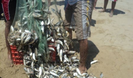 pescadores-aprovecharon-estos-pez-zardinas-en-huatulco