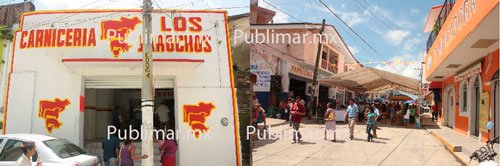 carniceros-de-pochutla