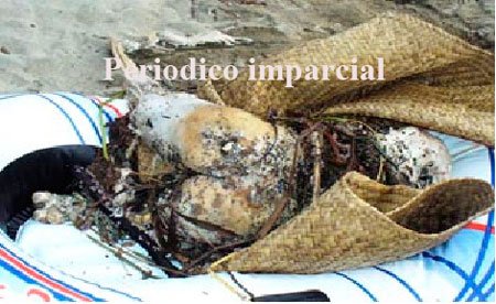 cadave-encontrado-en-alta-mar-del-pacifico