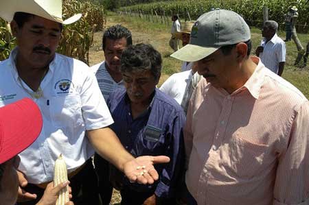 incentiva-el-programa-de--cultivo-de-semilla-en-la-costa