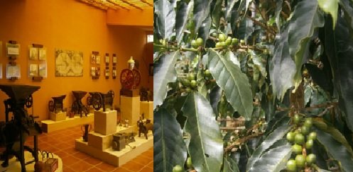 Finca Don Gabriel