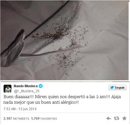 Brasil 2014 Fernando Muslera se despierta con miles de hormigas en su cama