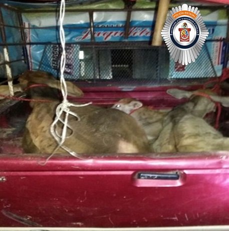 DETIENE LA POLICÍA ESTATAL A PRESUNTOS ABIGEOS EN PINOTEPA NACIONAL3