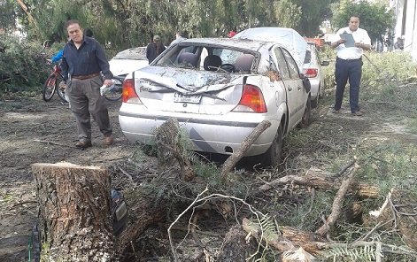 Tremenda tromba en el DF desquició tránsito y derribó arboles2