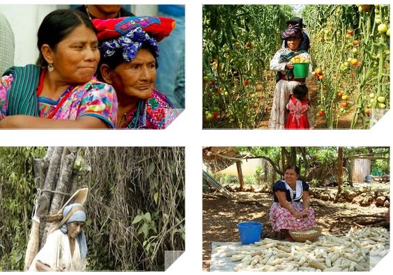 EQUIDAD DE GÉNERO EN NÚCLEOS AGRARIOS IMO
