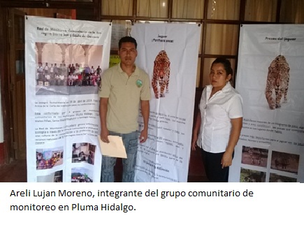 SE FORTALECEN  ACCIONES DE CONSERVACION DEL JAGUAR EN PLUNA HIDALGO
