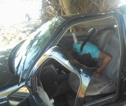 SE MATA JOVENCITO TRAS CHOCAR EL AUTO EN QUE VIAJABA CONTRA UN ÁRBOL