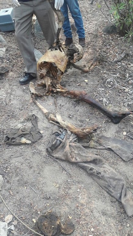 Encuentran esqueleto humano en la Costa