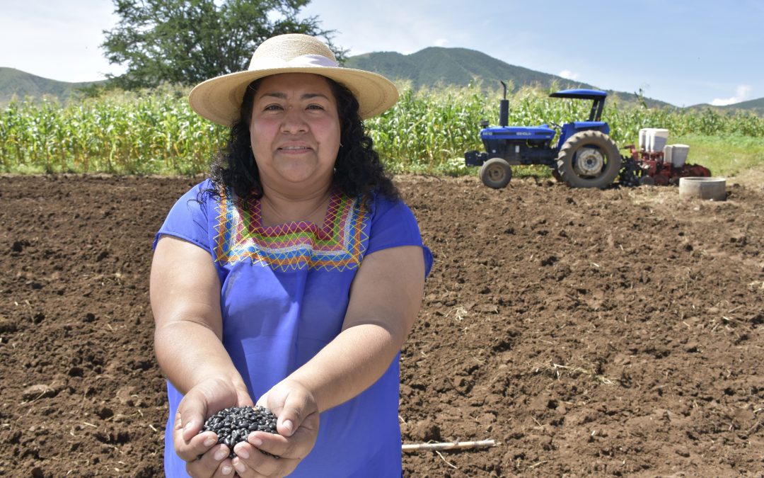 Mexicana es embajadora del Año Internacional de las Legumbres