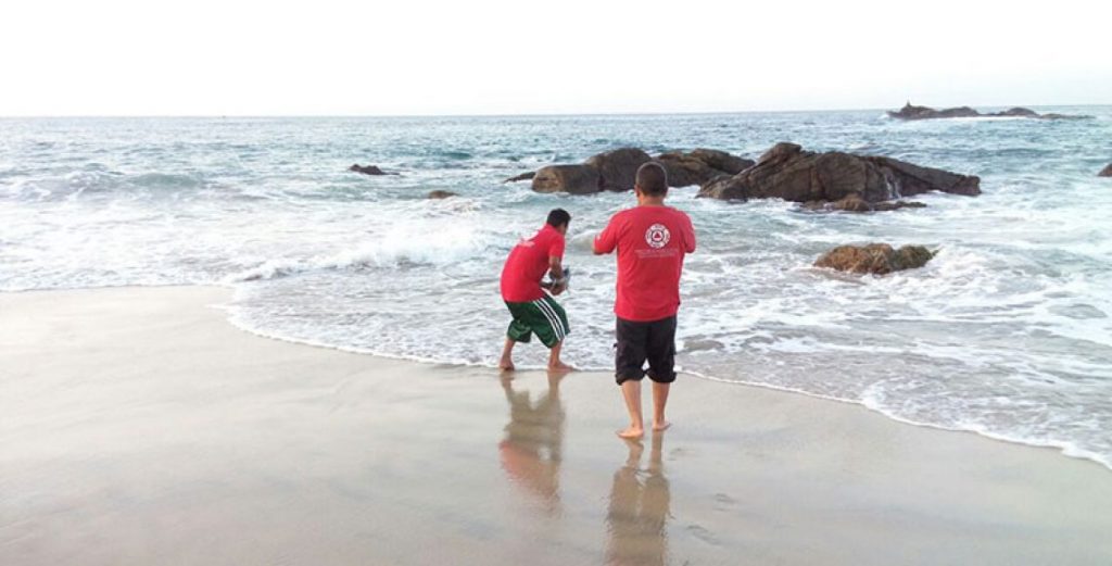 regresa-proteccion-civil-al-mar-a-delfin-varado-en-playa-bacocho1