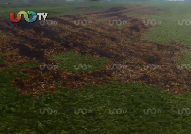 Incendio en Holbox fue provocado: Profepa