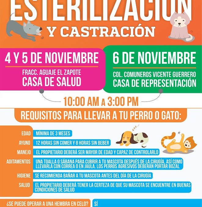 Campaña de esterilización en Huatulco