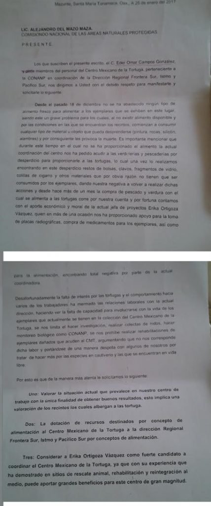 ENTRE LINEAS1