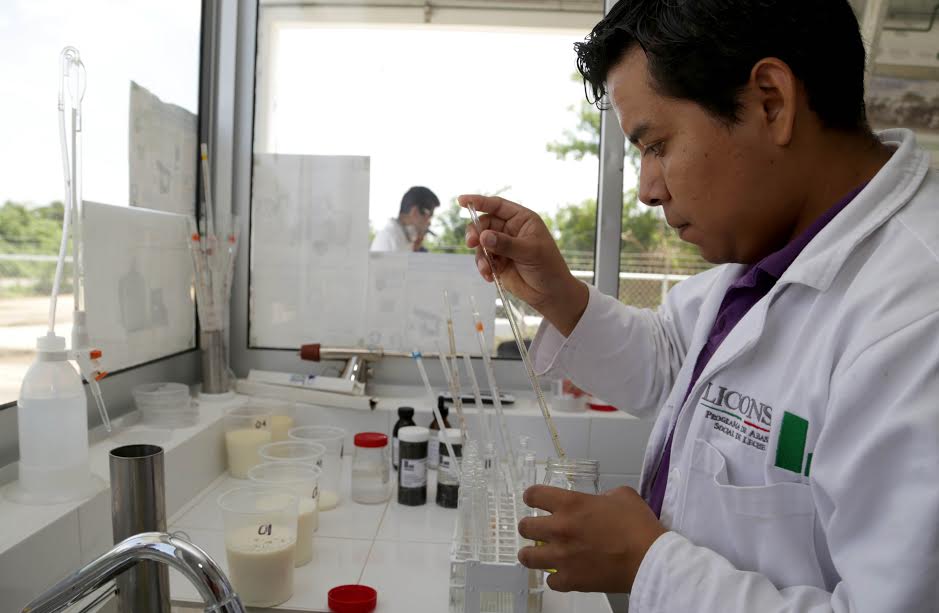 A más de 15 mil pruebas diarias se somete la leche Liconsa