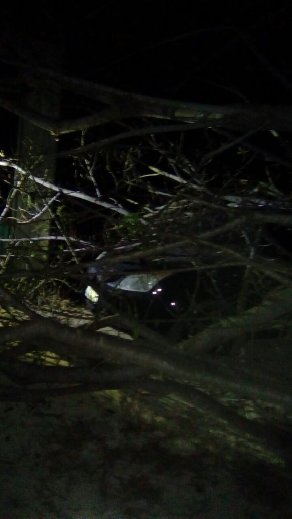 Arbol cae sobre un auto en Santa María