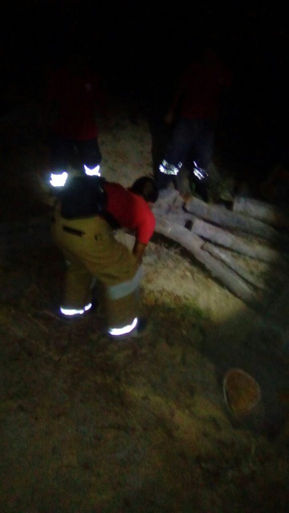 Arbol cae sobre un auto en Santa María2