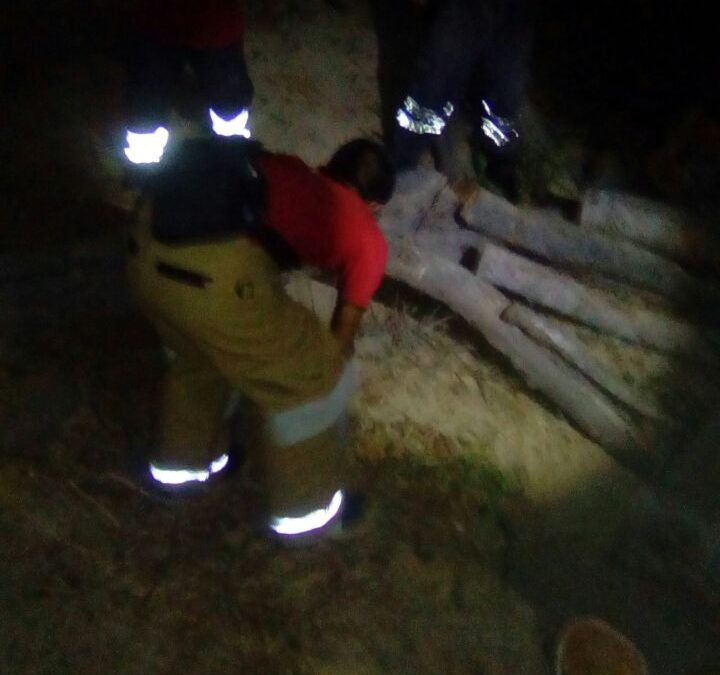 Arbol cae sobre un auto en Santa María