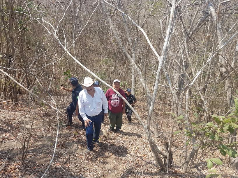 Forman auto defensas en Huatulco