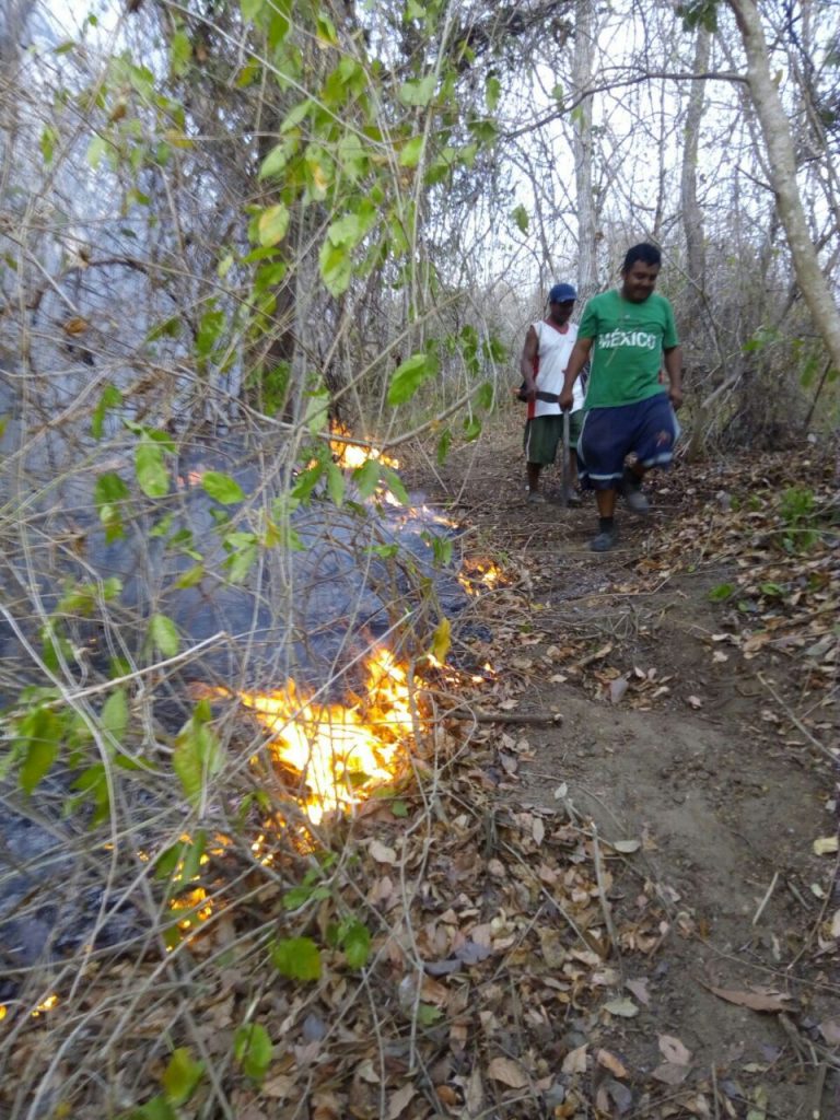 Incendió en Piedra de moros2