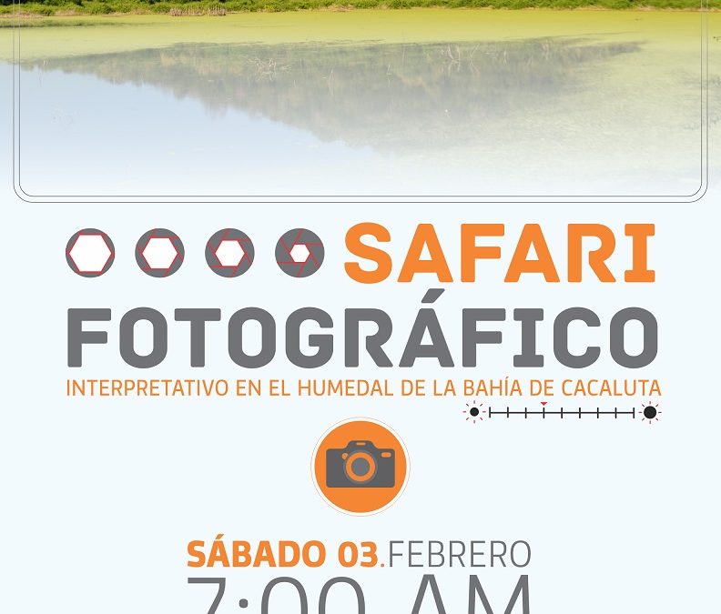 1er concurso de fotografia