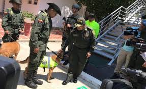 Un perro impidió que dos toneladas de cocaína salgan de Colombia a México