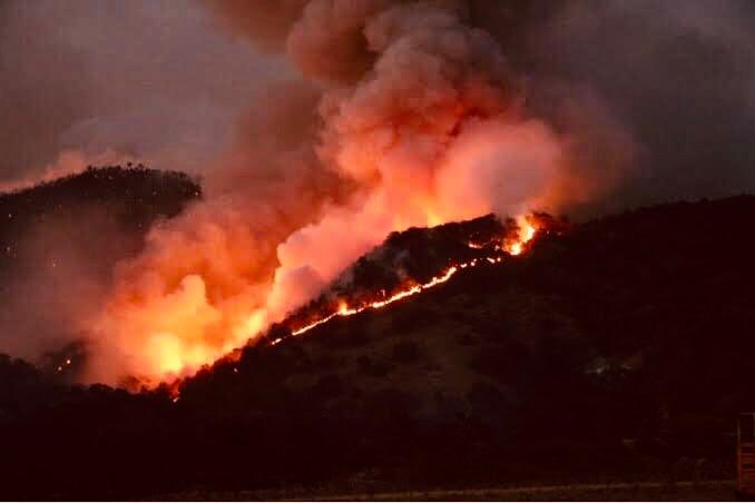 Incendio en Candelaria Loxicha controlado y sin daños a viviendas: CEPCO