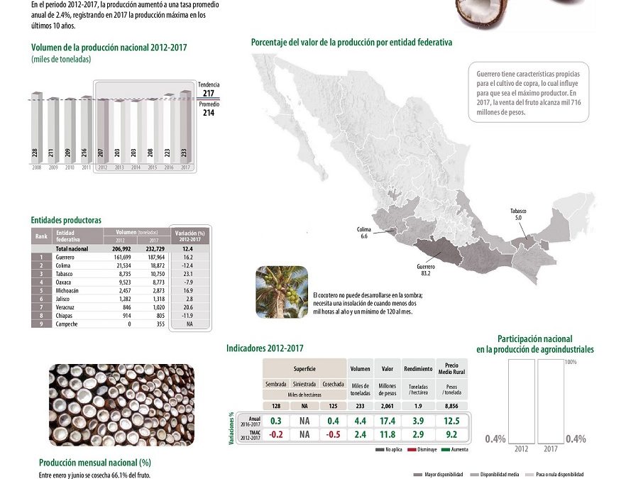 Oaxaca, cuarto lugar a nivel nacional en producción de copra: Sedapa