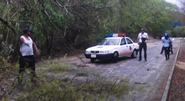 Por lluvias se mantiene operativo en Oaxaca: CEPCO