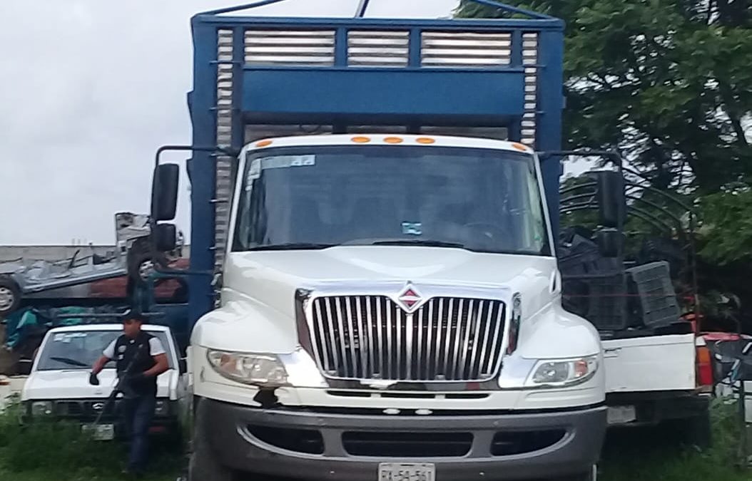 Elementos de la PE que robando en el “Rancho La Engorda”, ahora robaban camión con abarrotes