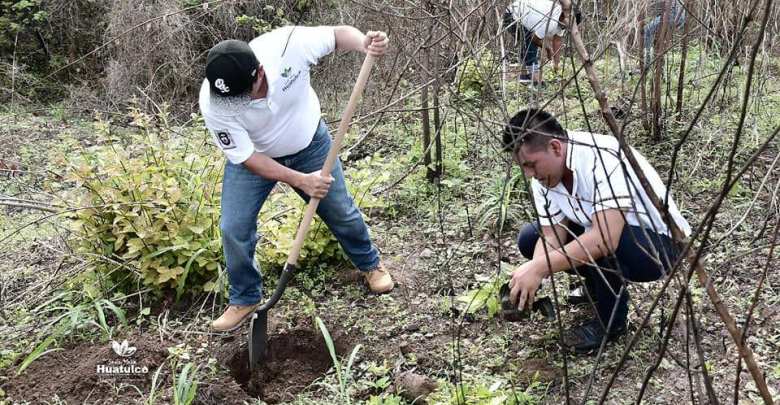 Gobierno Municipal se da cita al arbolotón convocado en San José Cuajinicuil