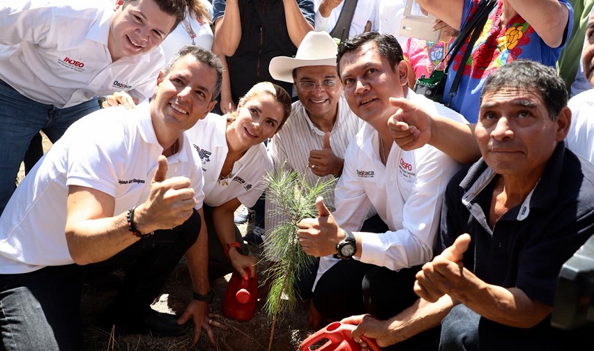 Lanza Murat reto para reforestación
