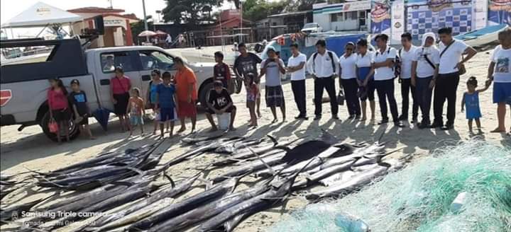 Decomisan redes de pesca ilegales en Puerto Escondido, dentro de ellas Pez vela, Dorado y Marlín atrapados