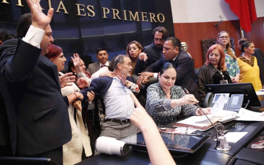 Elección de Rosario Piedra a la CNDH es incorrecta en forma y fondo: Gustavo Madero