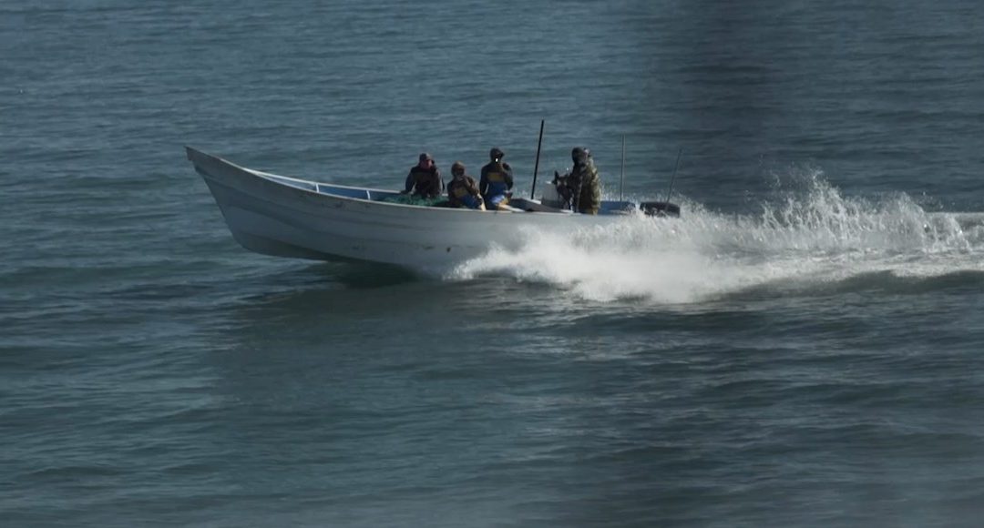 Buque de Profepa y Sea Shepherd es atacado a tiros en el Golfo de California, santuario de la vaquita marina