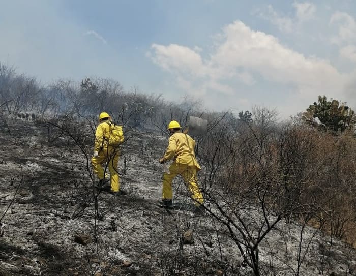 Se declara emergencia en San Pedro y San Pablo Ayutla por incendios
