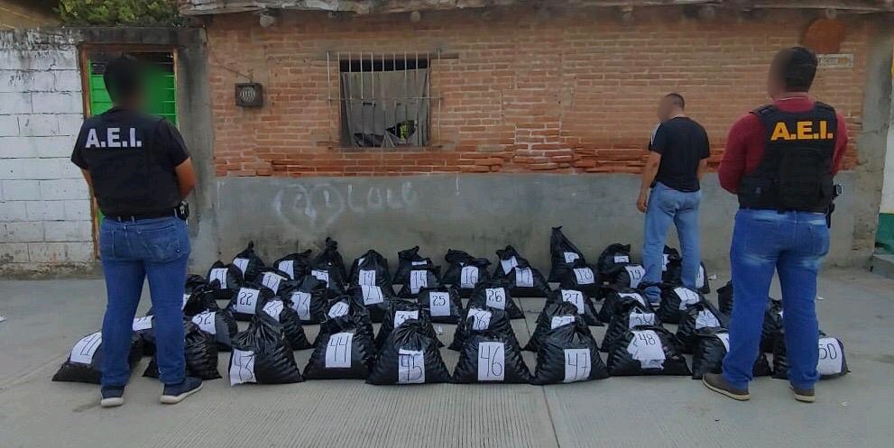 Asegura Fiscalía General 25 mil huevos de tortuga en el Istmo de Tehuantepec