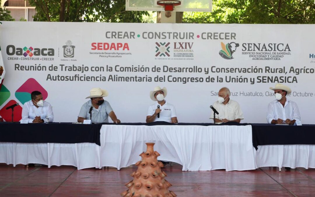 Gobierno de Oaxaca trabaja para hacer crecer la productividad del sector agropecuario