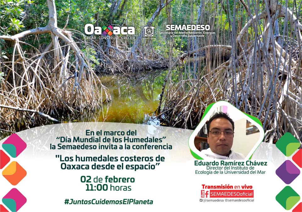 Invita Semaedeso a la conferencia virtual sobre los humedales costeros de Oaxaca