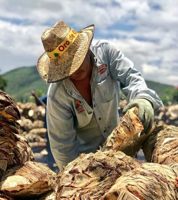 SANTIAGO MATATLÁN –ES LA CAPITAL MUNDIAL DEL MEZCAL-