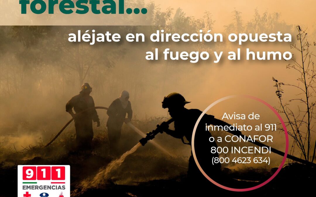 Anticipa CEPCO inicio de semana caluroso en gran parte del estado, pide a la población tomar precauciones