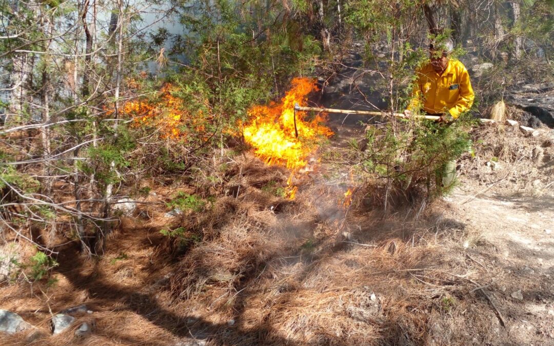 Controlado el incendio forestal en Magdalena Peñasco, Tlaxiaco: CEPCO