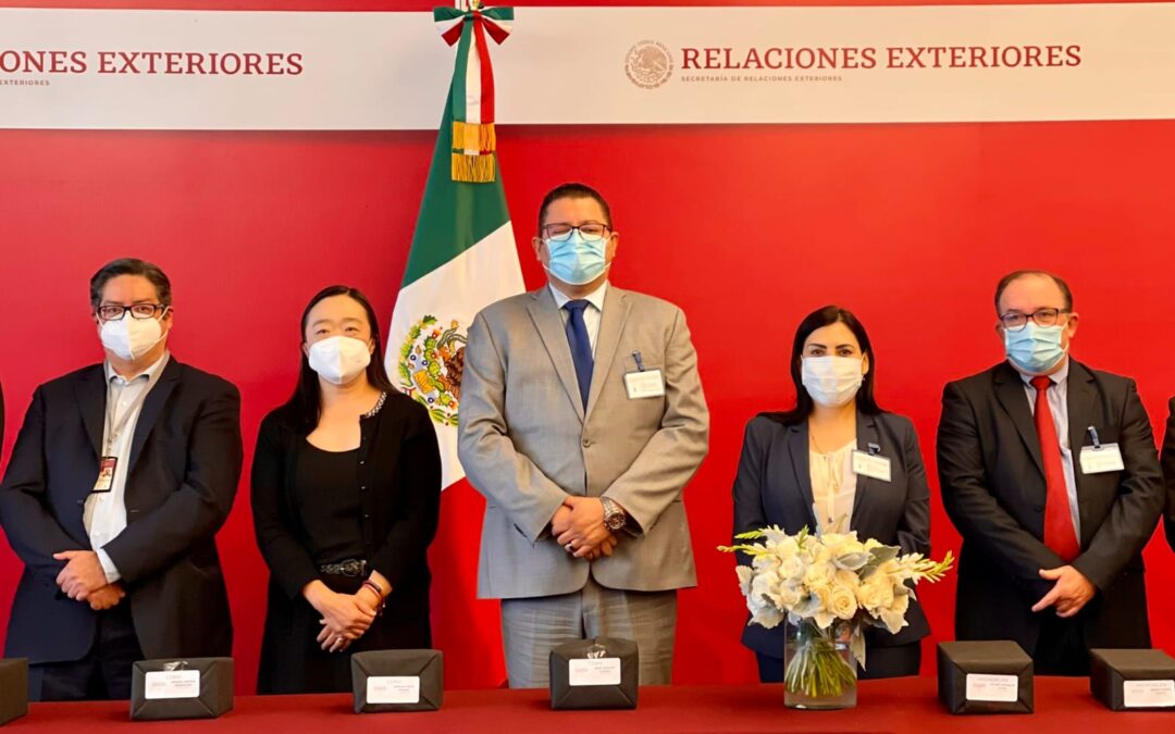 Actualiza IOAM número de migrantes fallecidos por COVID-19 en los Estados Unidos